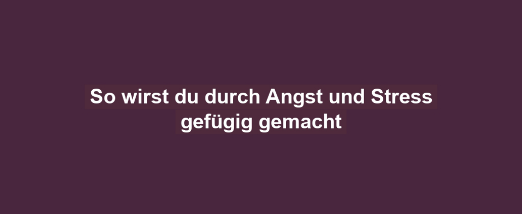 So wirst du durch Angst und Stress gefügig gemacht