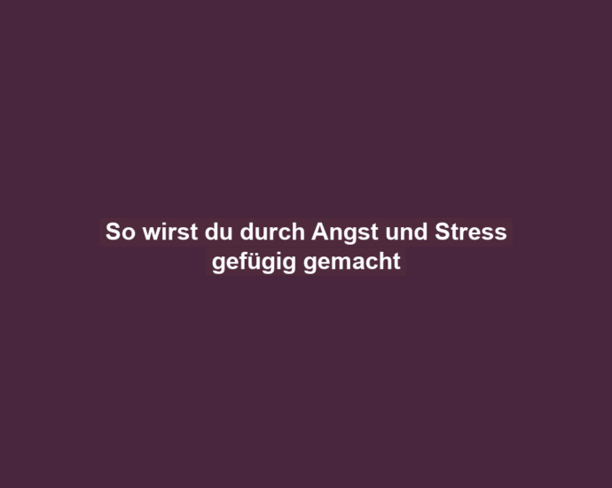 So wirst du durch Angst und Stress gefügig gemacht