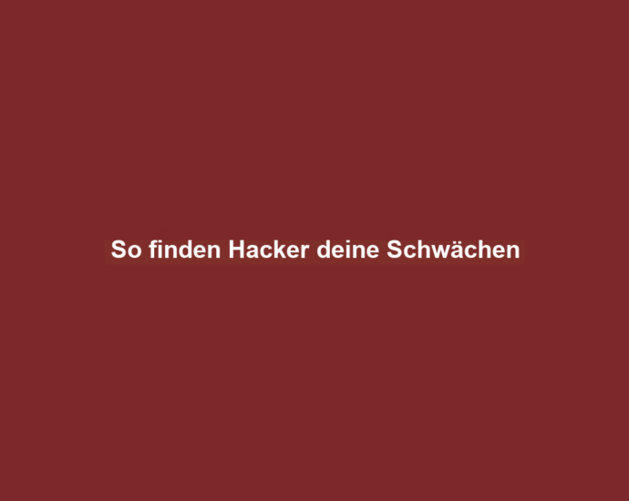 So finden Hacker deine Schwächen