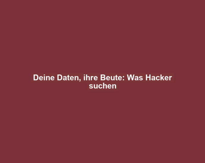 Deine Daten, ihre Beute: Was Hacker suchen