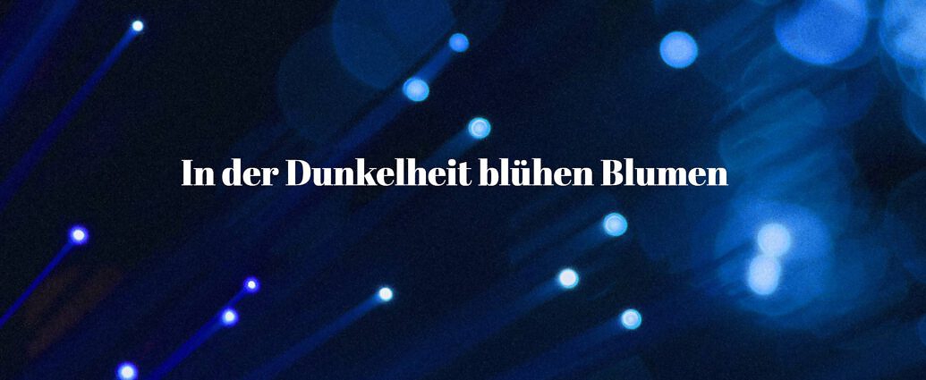 In Der Dunkelheit Blühen Blumen