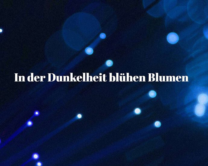 In Der Dunkelheit Blühen Blumen