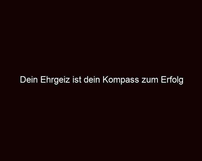 Dein Ehrgeiz Ist Dein Kompass Zum Erfolg