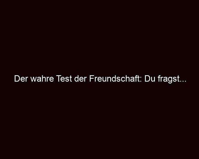 Der Wahre Test Der Freundschaft: Du Fragst...