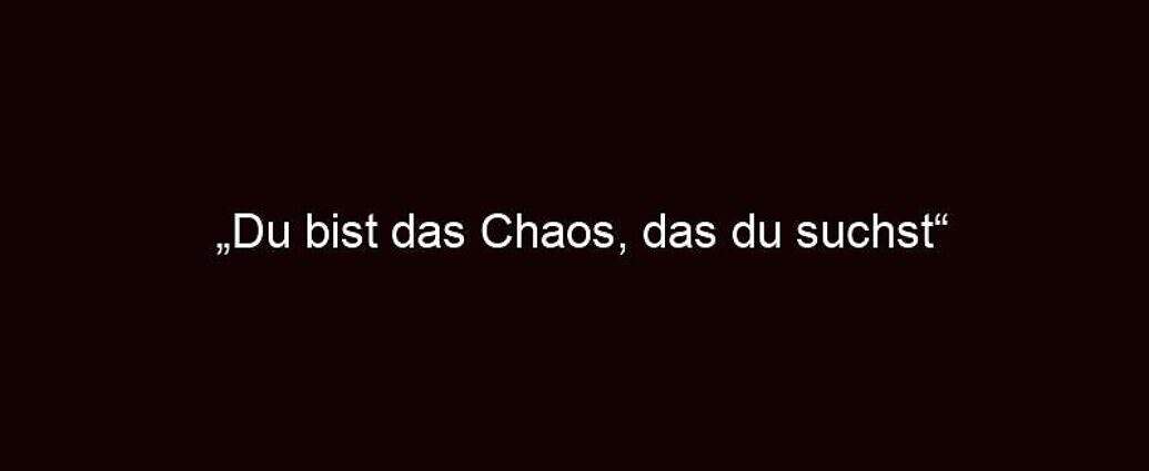 „du Bist Das Chaos, Das Du Suchst“