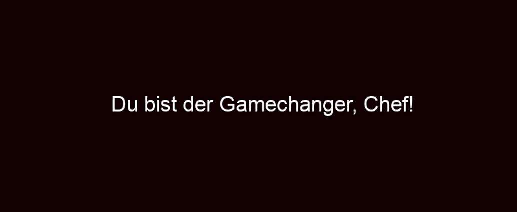 Du Bist Der Gamechanger, Chef!