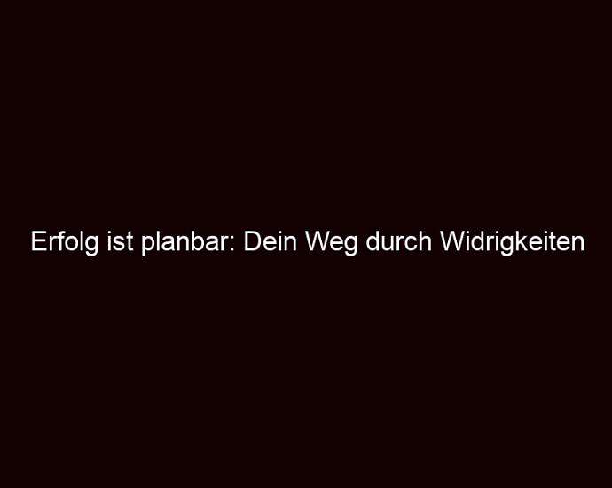 Erfolg Ist Planbar: Dein Weg Durch Widrigkeiten