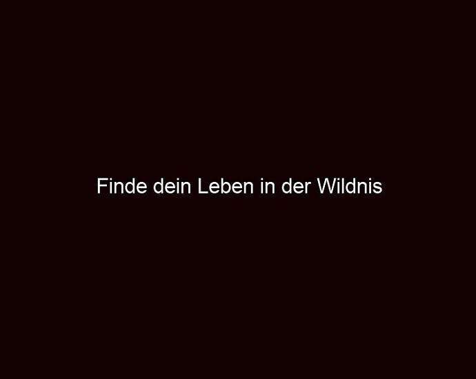 Finde Dein Leben In Der Wildnis