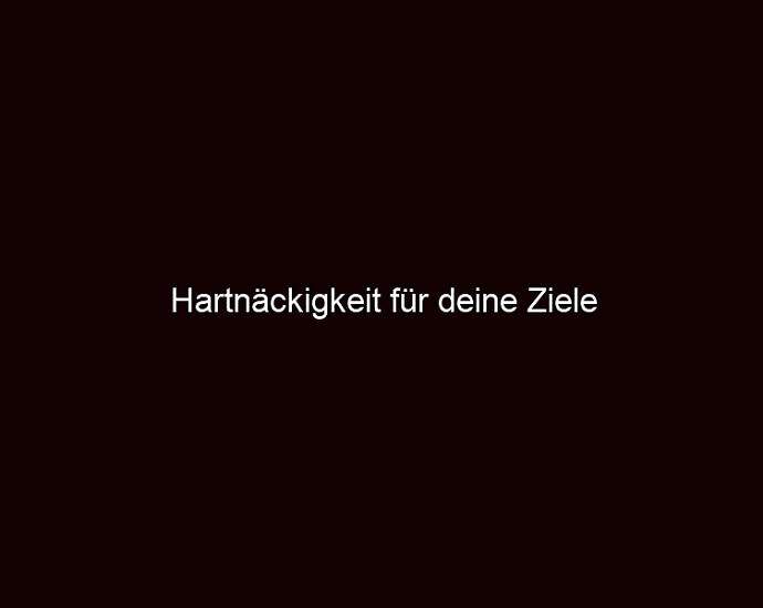 Hartnäckigkeit Für Deine Ziele