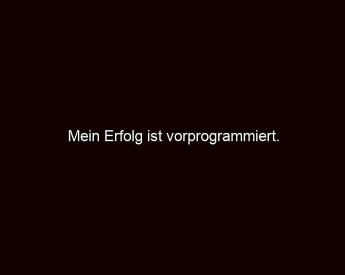 Mein Erfolg Ist Vorprogrammiert.