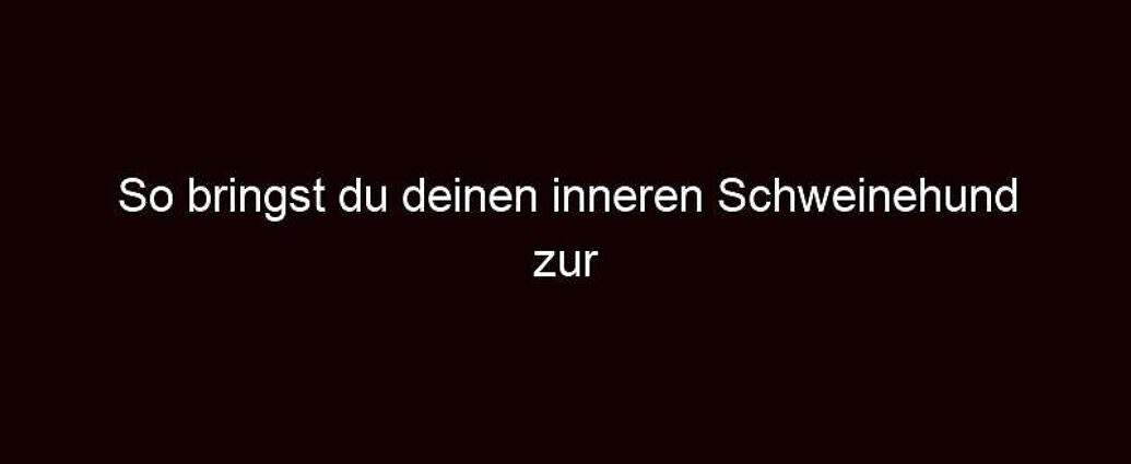 So Bringst Du Deinen Inneren Schweinehund Zur Strecke!