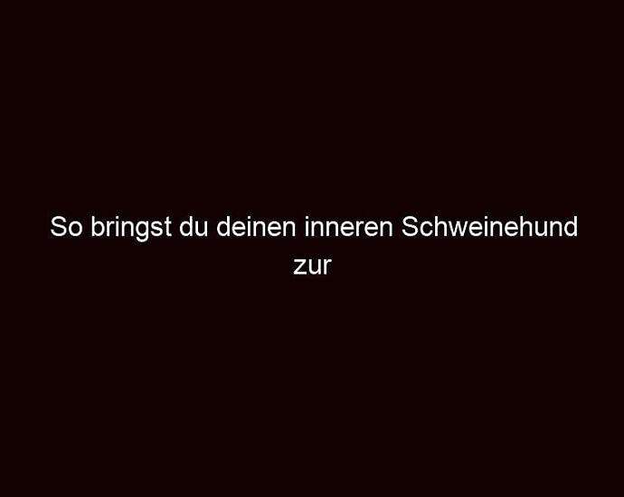 So Bringst Du Deinen Inneren Schweinehund Zur Strecke!