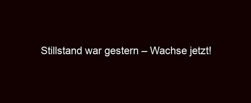 Stillstand War Gestern – Wachse Jetzt!