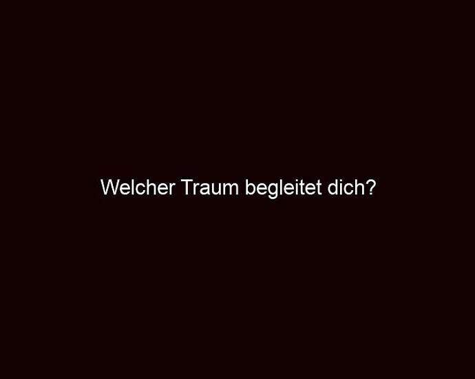 Welcher Traum Begleitet Dich?