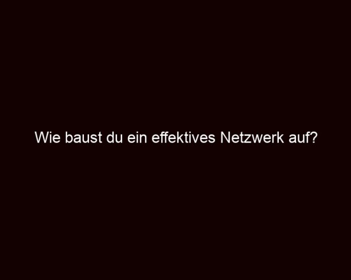 Wie Baust Du Ein Effektives Netzwerk Auf?