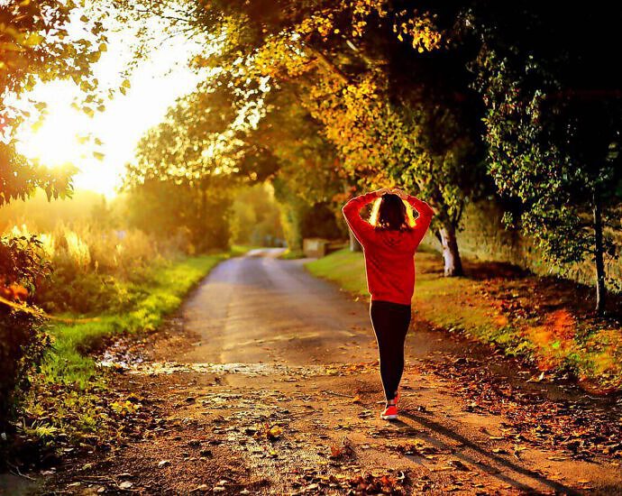 Cover C(0450) (0450) (0630) (0630) (0630) (0630) (0630) (0452) (0452) (0452) (0452) (0452) (0452)