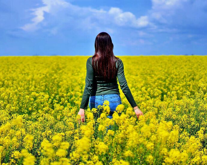 Cover C(0992) (0992) (1172) (1172) (1172) (1172) (1172) (0994)