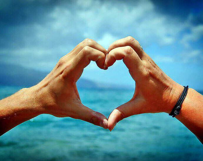 Cover C(1293) (1293) (1473) (1473) (1473) (1473) (1473) (1295) (1295) (1295) (1295) (1295) (1295) (1308) (1309)