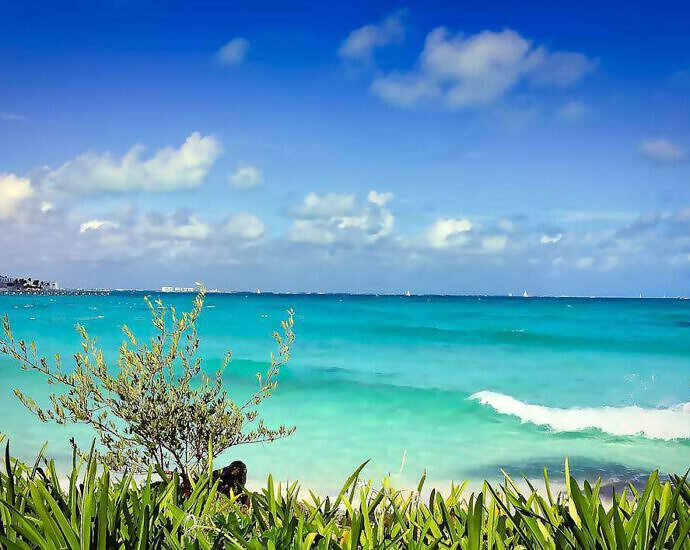 Ein Traumstrand mit weißem Sand, Palmen und herrlich blauem Wasser auf den Kapverden.