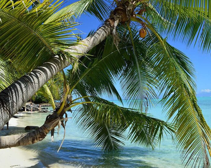 Ein Bild von Matira Beach auf Bora Bora in Französisch-Polynesien mit Palmen, Strand und Meer.