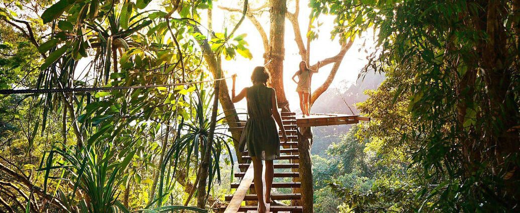 Eine junge Frau geht auf einer Plattform hoch oben in den Baumkronen und genießt die atemberaubende Aussicht.