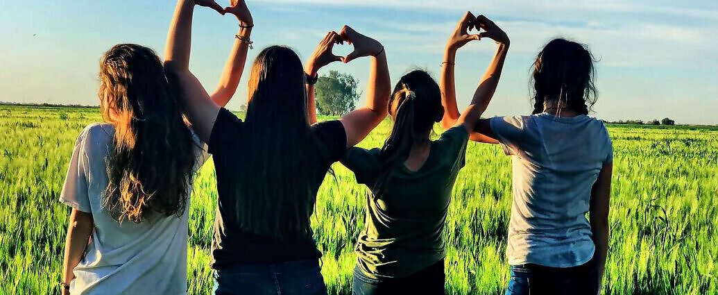 Bild für blog erfolgsebook (3588)