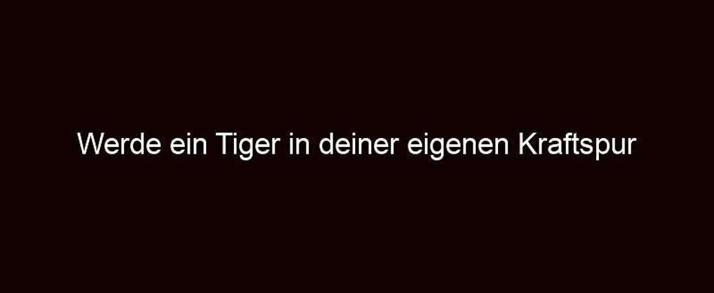 Werde ein tiger in deiner eigenen kraftspur