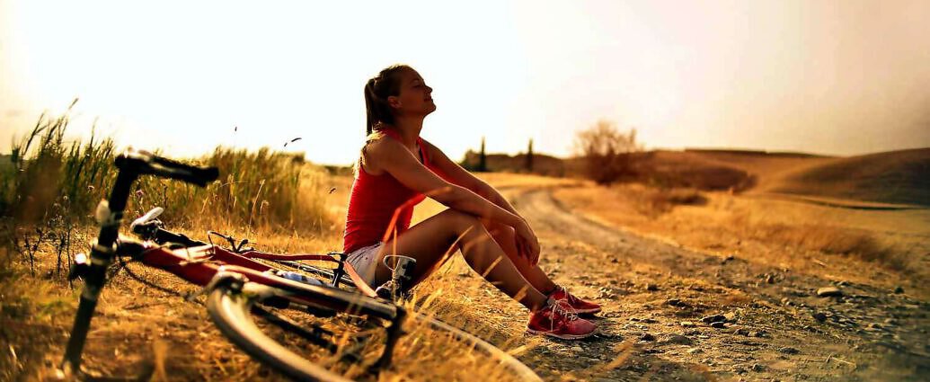 Bild für Blog (2319)