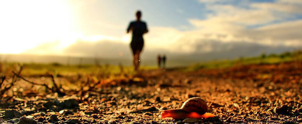 Bilder für Erfolgsebook.com (2796)