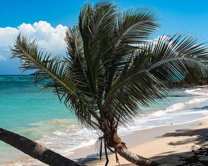 Ein Bild von einem wunderschönen Strand mit Palmen und dem blauen Ozean auf den Yasawa-Inseln in Fidschi.