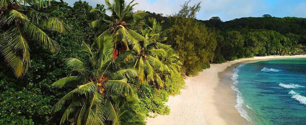 Ein Bild von Fidschi mit schönen Stränden, Palmen und dem Meer.