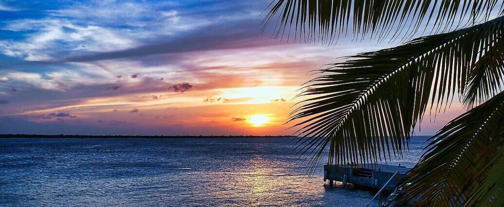 Ein Bild von Bonaire mit einem Steg, der ins Wasser geht, bei einem Sonnenuntergang mit Palmen.