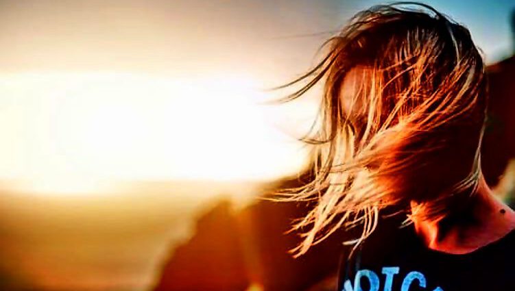 Cover C(0102) (0102)