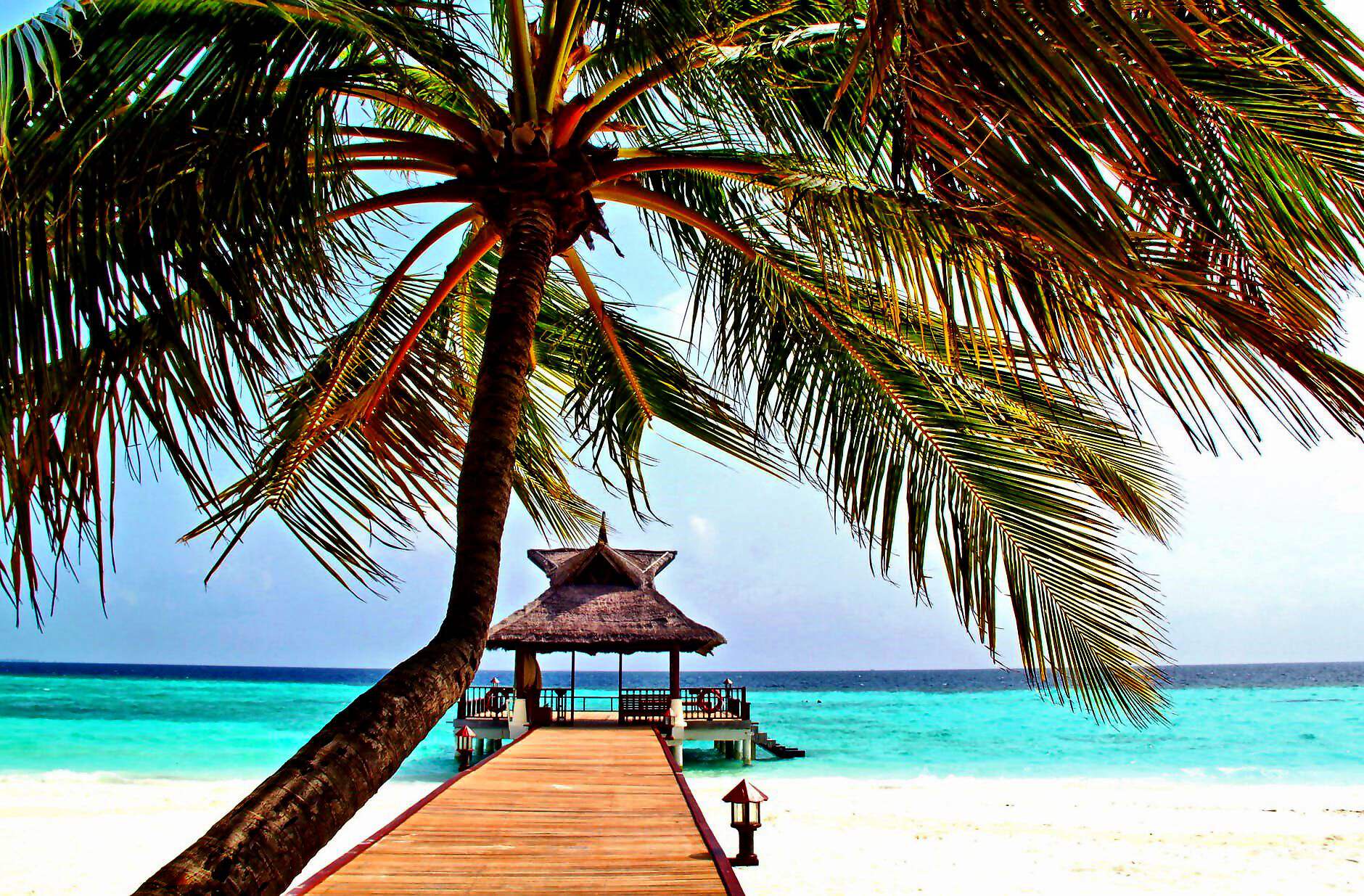 Cover C(1346) (1346) (1526) (1526) (1526) (1526)