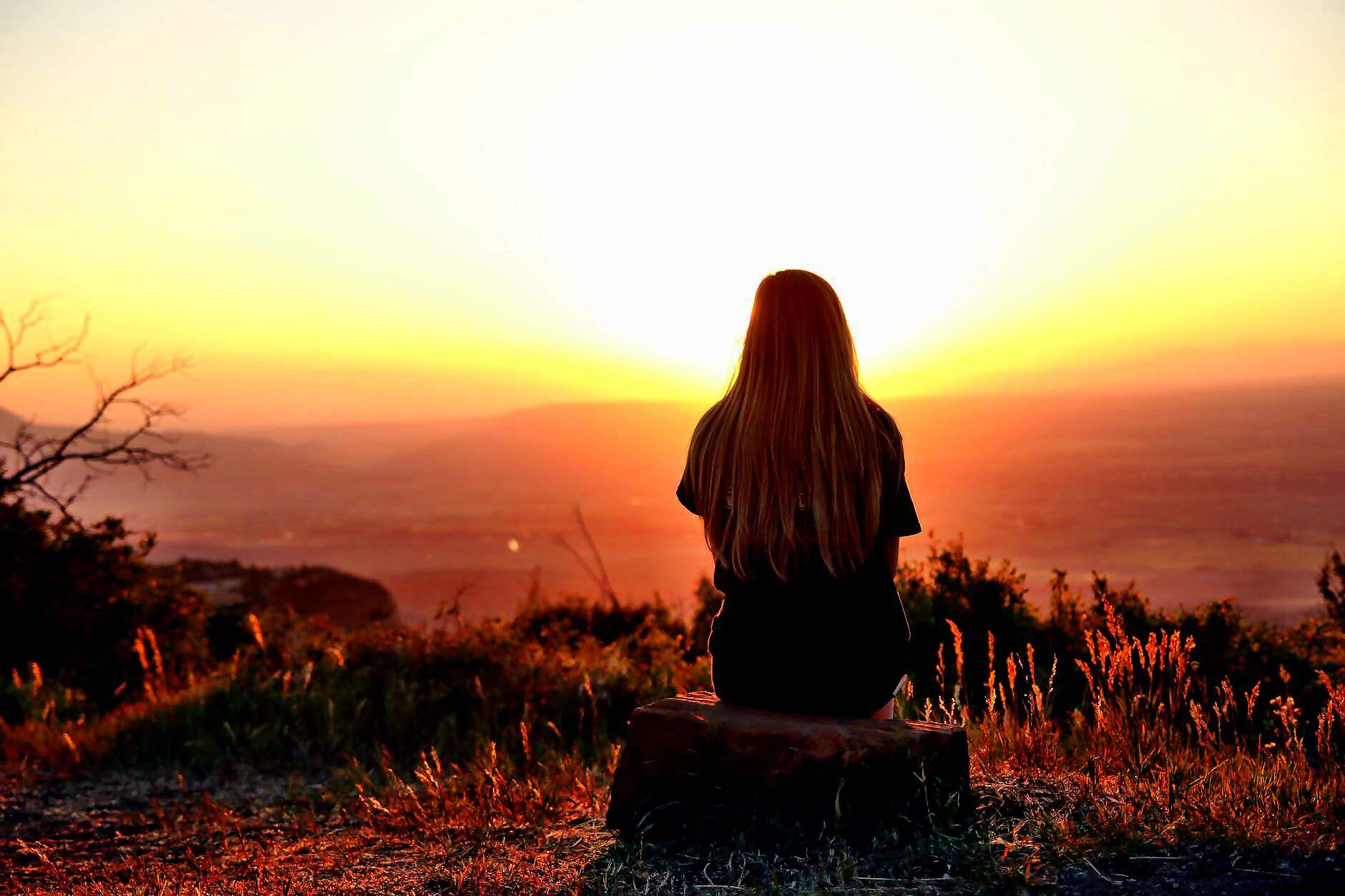 Cover C(1451) (1451) (1631) (1631) (1631) (1631) (1631)