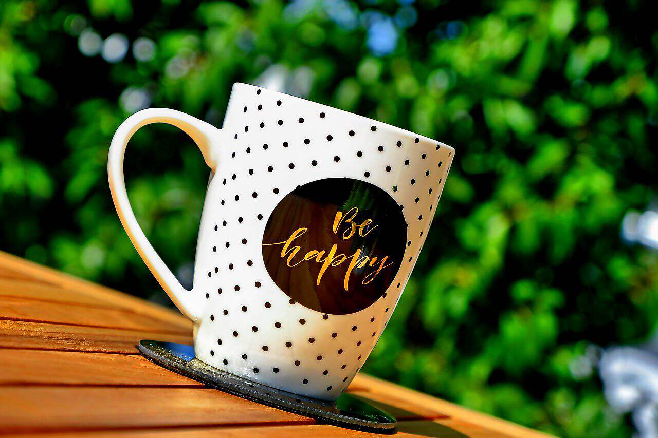 Cover C(2169) (2169) (2349) (2349) (2349) (2349) (2349)