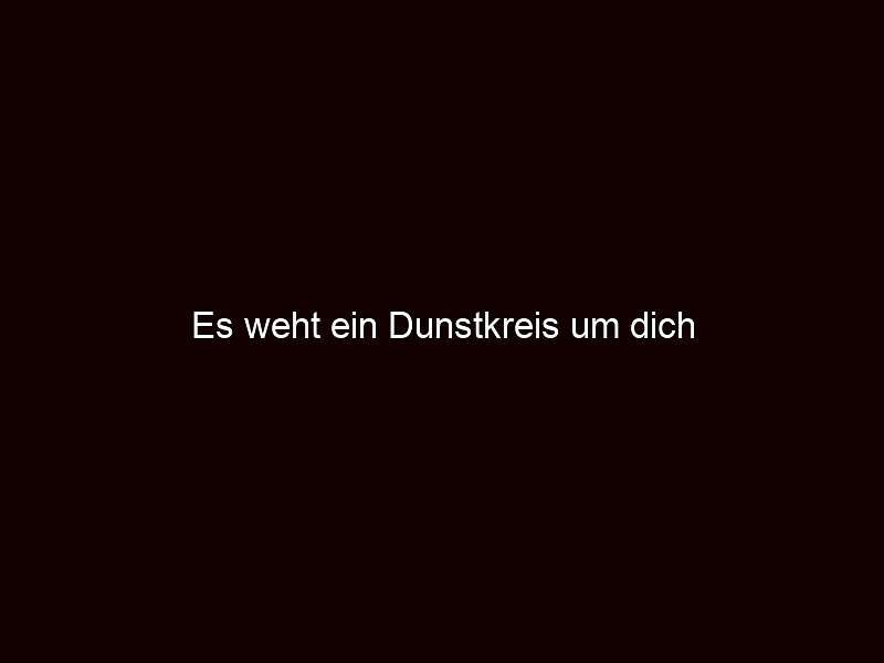Es weht ein Dunstkreis um dich