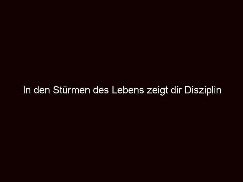 In den Stürmen des Lebens zeigt dir Disziplin den Weg