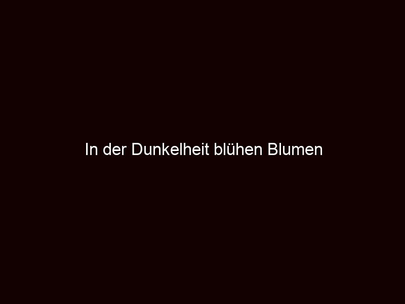 In Der Dunkelheit Blühen Blumen