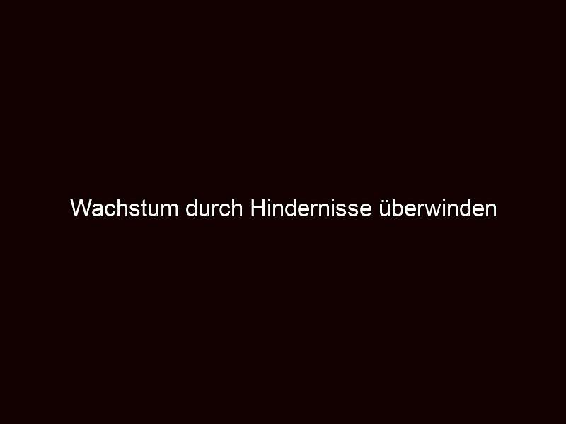 Wachstum durch Hindernisse überwinden