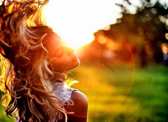 Cover C(0237) (0237) (0417) (0417) (0417) (0417) (0417) (0239) (0239) (0239) (0239) (0239) (0239) (0252) (0253)