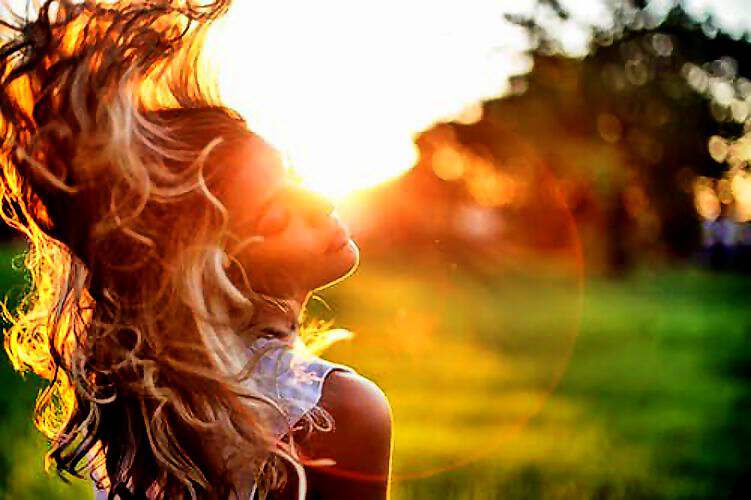 Cover C(0237) (0237) (0417) (0417) (0417) (0417) (0417) (0239) (0239) (0239) (0239) (0239) (0239) (0252) (0253)