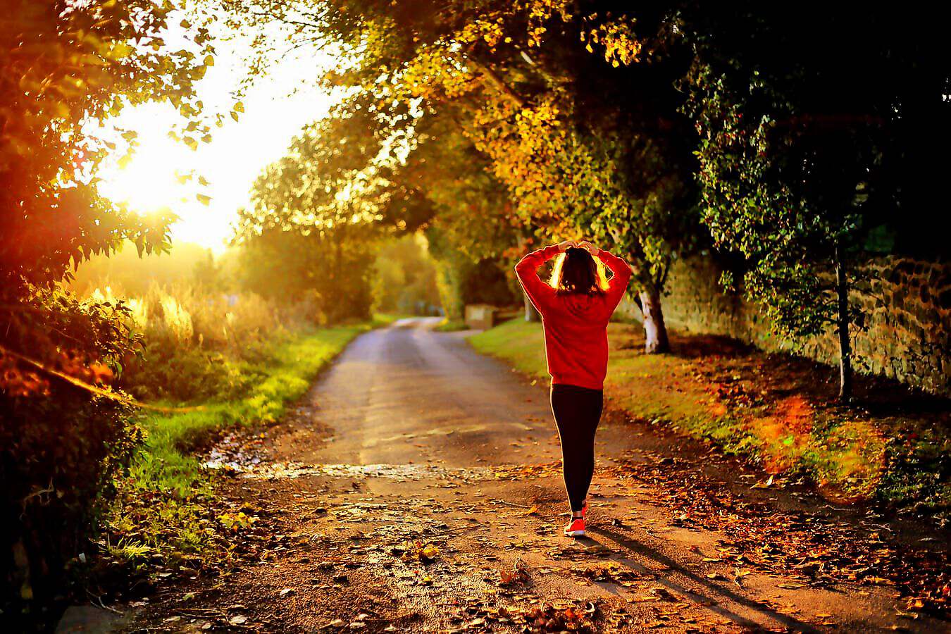 Cover C(0450) (0450) (0630) (0630) (0630) (0630) (0630) (0452) (0452) (0452) (0452) (0452) (0452)