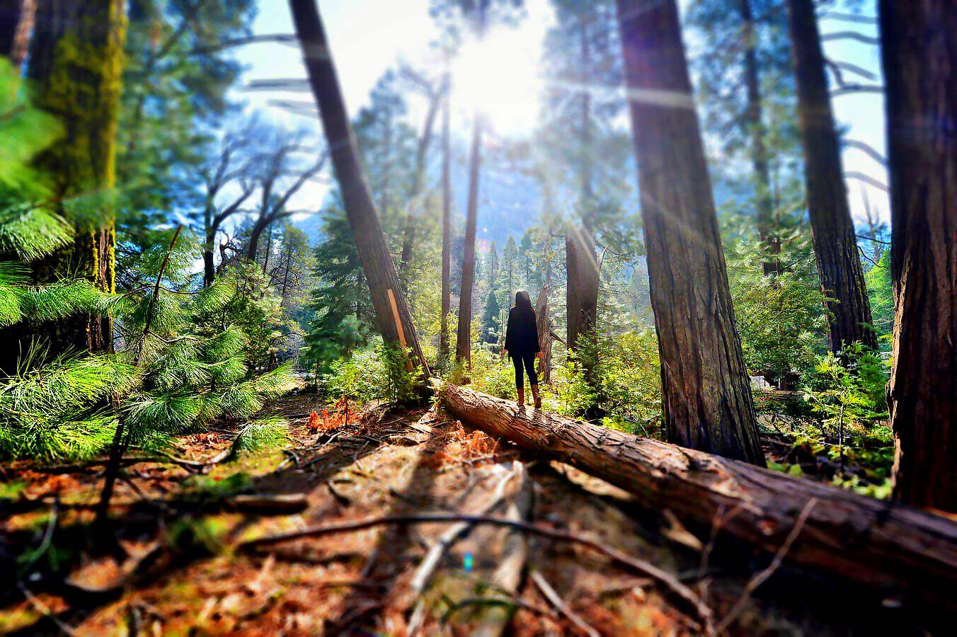 Cover C(0606) (0606) (0786) (0786) (0786) (0786) (0786) (0608)