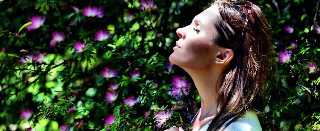 Cover C(0787) (0787) (0967) (0967) (0967) (0967) (0967) (0789) (0789) (0789) (0789) (0789) (0789)