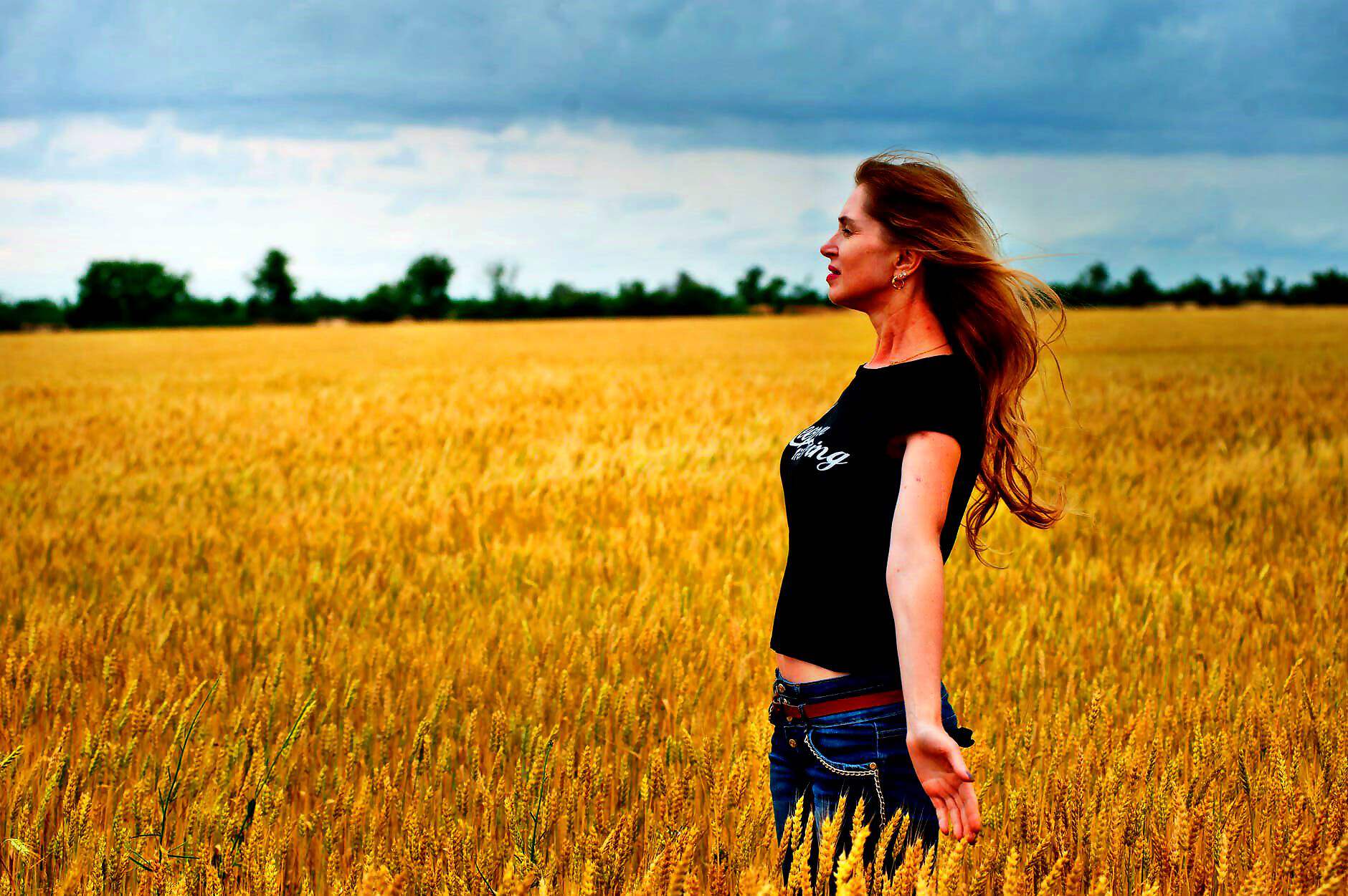 Cover C(1383) (1383) (1563) (1563) (1563) (1563) (1563) (1385) (1385) (1385) (1385) (1385) (1385) (1398) (1399) (1413)