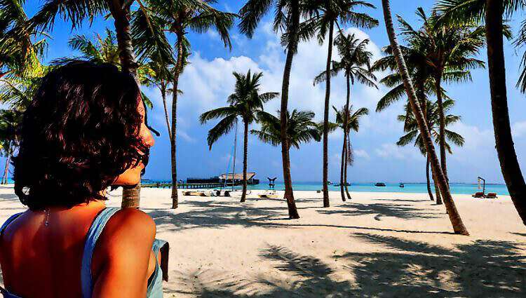 Cover C(2003) (2003) (2183) (2183) (2183) (2183) (2183) (2005) (2005) (2005) (2005) (2005) (2005) (2018) (2019) (2033) (2033)