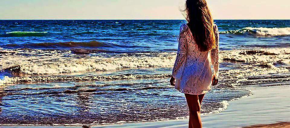 Cover C(2199) (2199) (2379) (2379) (2379) (2379) (2379) (2201) (2201) (2201) (2201) (2201) (2201) (2214) (2215)