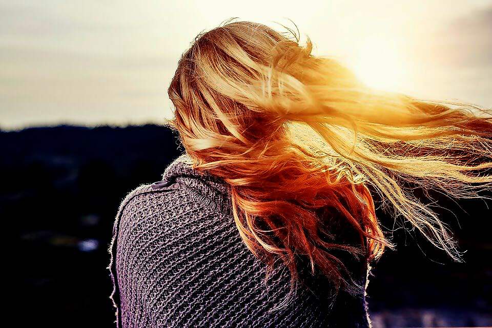 Cover C(2498) (2498) (2678) (2678) (2678) (2678) (2678) (2500) (2500) (2500) (2500) (2500) (2500) (2513) (2514)