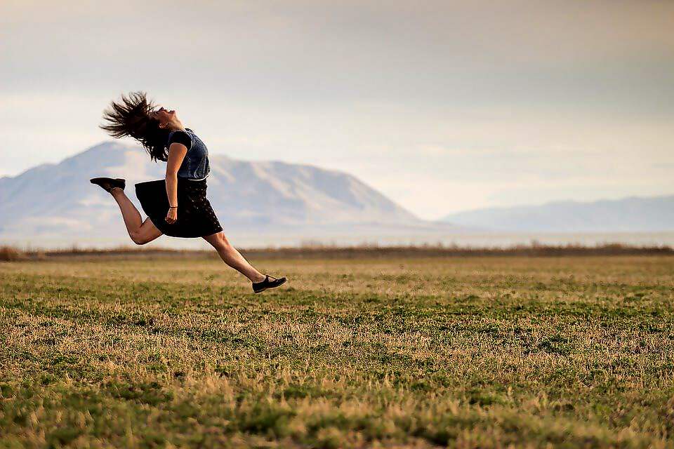 Cover C(2503) (2503) (2683) (2683) (2683) (2683) (2683) (2505) (2505) (2505) (2505) (2505) (2505) (2518) (2519)